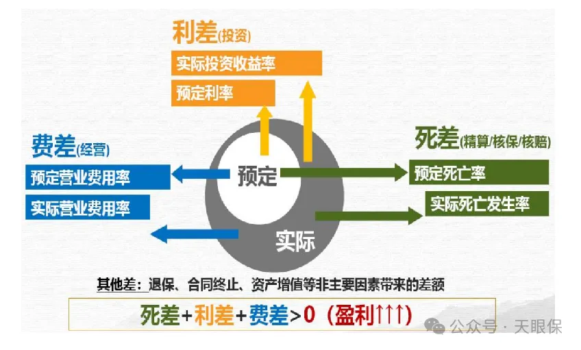 <b>买分红险，千万别只盯着品牌，关键看这个……</b>