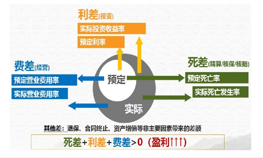 分红险的底层逻辑都在这了……
