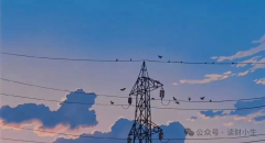 <b>存款利率“1时代”来了，老百姓还有什么出路打理“钱袋子”</b>